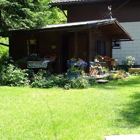 Pension Bayrhammer Файстенау Екстериор снимка